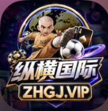 纵横国际