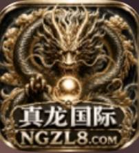 真龙国际